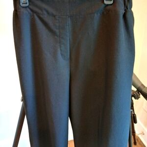 16W Flat Front Back Elastic Pull On Back Pants w/2 Back Pockets.